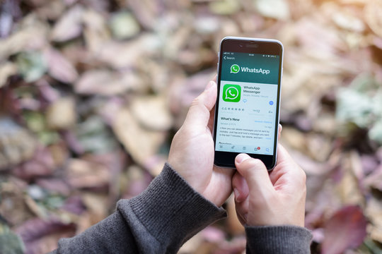 CHIANG MAI, THAILAND - NOV 20 2017 : Man holding a iPhone 6s and open appstore searching social Internet service WhatsApp on the screen. iPhone 6s was created and developed by the Apple inc.