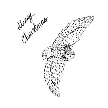 Polar arctic white owl with Merry Christmas letters. Black outline on white background. Picture can be used in greeting cards, posters, flyers, banners, logo, further design etc. Vector illustration