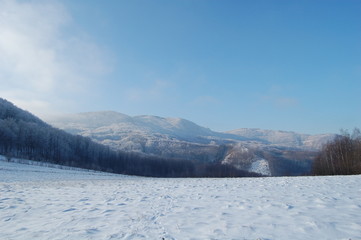 winter landscape with trees and mountains