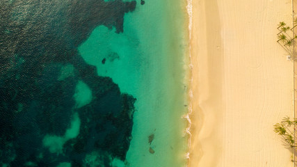 The Magaluf beach of Majorca, Spain from the height of bird flight