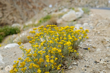 インド最北ラダックからパキスタン国境までの道、カルドンラ峠とヌブラ渓谷をバイクで走った時の風景