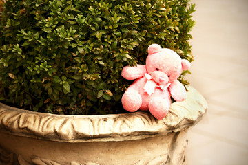 Small pink teddy bear left on a city street decorative plant vase