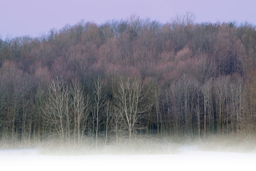 Obraz na płótnie Canvas Foggy winter landscape at dawn of island and shoreline of Twin Lakes, Michigan, USA