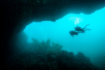 A couple of scuba divers exploring the top of an underwater arch.
