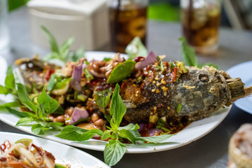 Herbal snakehead fish salad served with sticky rice