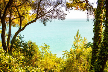 View on Adriatic sea through the rich green overgrown forest on the mountains in Numana, Region of Marche in Italy