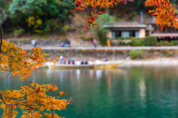 京都嵯峨野大堰川の紅葉
