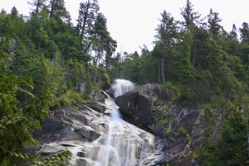 Naklejka premium waterfall in forest