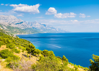 Croatia coastline with blue sea water, pine trees and mountains on background
