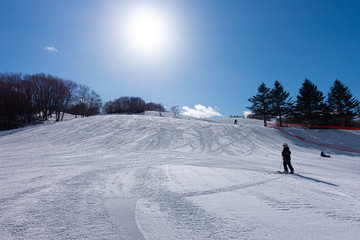 晴れた日のスキー場 / 北海道のスキー場