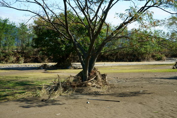 Flood damage caused by Typhoon No.19 "Hagibis" in Japan