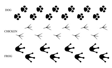 Vector footprints, animals, dogs, chickens, frogs, white background.