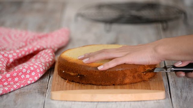Woman hand cutting sponge-cake. Sweet food