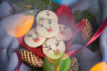 Tasty and fragrant chocolate chip cookies are crushed with powdered sugar, with multi-colored lights on the table. Merry Christmas