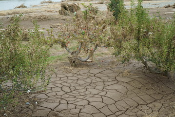 Flood damage caused by typhoon 19 