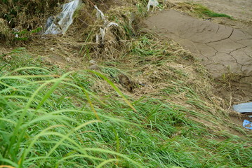 Flood damage caused by typhoon 19 