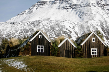 Fototapeta na wymiar Maisons traditionnelles islandaise avec toit en herbe
