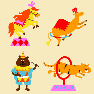 circus animals