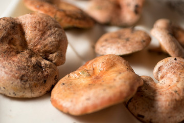 Fototapeta premium delicious fresh and freshly picked orange mushrooms in the pine forest