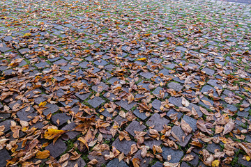 Pflastersteine im Herbst mt rutschiegn Blätter