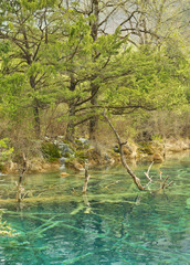 Beautiful nature with spectacular vegetation and crystal turquoise pond water in Chinese mountains.