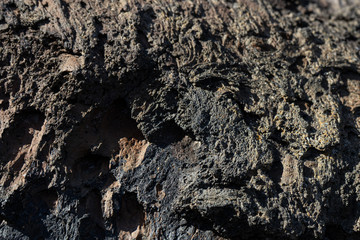 Texture of pretrified lava rock formation
