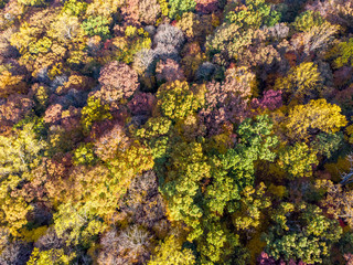 Fototapeta na wymiar Aerial Photo Taken in New England During Peak Foliage in the Autumn Season