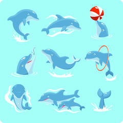 dolphin set