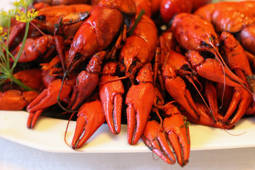 Plate full of boiled crayfish