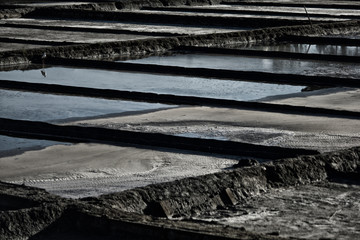 Salinas de Aveiro