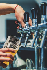 bartender hand at beer tap pouring a draught beer in glass serving in a restaurant or pub