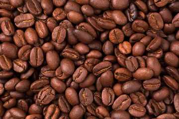 roasted coffee beans, can be used as background