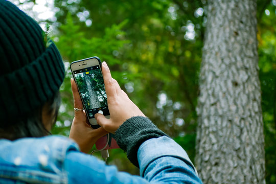 Close up back view of a person taking picture of forest using a smartphone. Blurred forest as background 