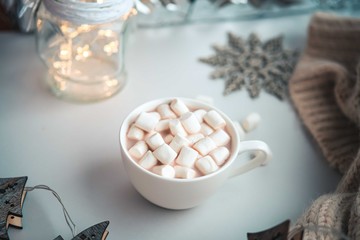 Fototapeta na wymiar Warm cocoa with marshmellows.