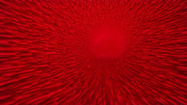 For medical design. Gastrointestinal tract. Gut lumen. Villi capillary 4k