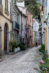 Naklejka premium Cobblestone alley winding through traditional Portuguese old town buildings