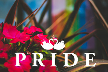 Gay pride concept. Happy Pride month picture with typography text and colorful rainbow as blurred background.