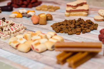 Pet food, snacks for dogs. Dog tasty colored biscuits on wooden background