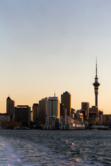 Auckland Sunset from sea vertical.