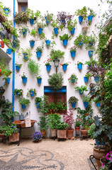 Fototapeta na wymiar Preciosa fachada de patio andaluz decorada con plantas colgadas de la pared en macetas azules y repartidas sobre suelo de piedra con mosaico. Córdoba, Andalucía, España. Viajes y turismo.