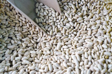Dry white beans in bulk