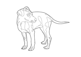 Drawing of a small dog