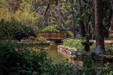 Fountain and Footbridge