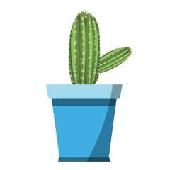 Potted cute cactus vector in blue flower pot isolated on white background