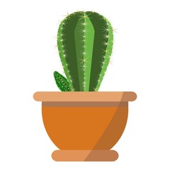 Beatiful green cactus plant vector in fachion flower pot isolated on white background