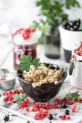 Fresh currants in a ceramic cup: black currants, red currants and white currants