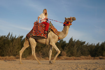 Eine Frau reitet auf einem Kamel in der Wüste, Hintergrund trockene Büsche und blauer Himmel