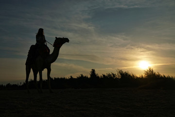 Eine Frau sitzt auf einem Kamel in der Wüste, Silhouette im Gegenlicht vor dem Sonnenuntergang