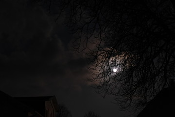 sky moon night tree clouds