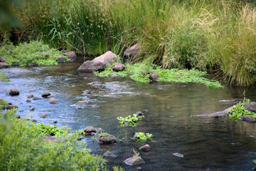 Shallow meandering stream